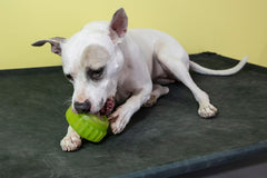 Starmark Everlasting Sprocket Small