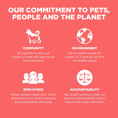 Go! Solutions Carnivore, Grain-Free, Protein Rich Dry Cat Food, Salmon and Cod Recipe