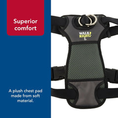 Coastal Pet Walk Right Front-Connect No-Pull Padded Dog Harness - Adjustable & Comfortable Dog Harness - Small & Large Breed Fit - Quality Pet Supplies - Black