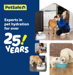 PetSafe Outlast Pumpless Cat & Dog Water Fountain
