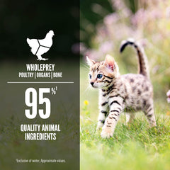 ORIJEN Kitten Chicken and Salmon Entree in Bone Broth Wet Cat Food, WholePrey Ingredients, 5.5oz