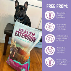 Health Extension Grain Free Salmon & Sweet Potato Dry Dog Food - Whole Foods Ingredients Formula with Omega 3 & Antioxidants for All Life Stages Dogs