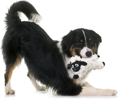 SPOT Baa Baa Black Sheep Plush Dog Toy - Cute and Cuddly Fleece Toy with Squeaker, Black and White Lamb