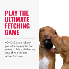 KONG - Extreme Ball - Durable Rubber Dog Toy for Power Chewers, Black