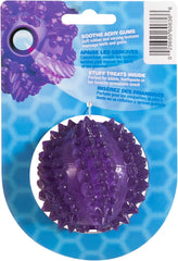 JW Pet BRISTLY Cactus Ball Dog Toy, Purple