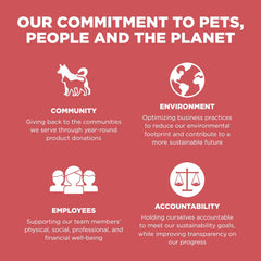 Go! Solutions Sensitivities Limited Ingredient, Grain-Free Dry Cat Food, Salmon Recipe for Sensitive Stomach