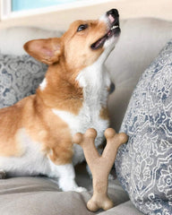 SPOT Bam-Bones Wishbone - Made with Strong Bamboo Fiber, Durable Long Lasting Dog Chew for Light to Moderate Chewers, Great Toy for Adult Dogs & Teething Puppies Under 50lbs, Chicken Flavor