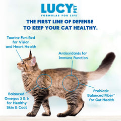 Lucy Pet Products Chicken, Brown Rice & Pumpkin, LID Cat Food
