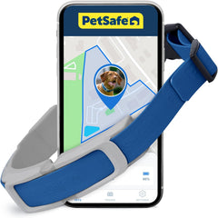 PetSafe Guardian GPS + Tracking Dog Fence Collar Pet Safe GPS Dog Collar Fence System, with App Waterproof Rechargeable Collar, Tracking for Dogs (Blue, Grey)