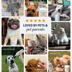 Veterinary Formula Clinical Care Ear Therapy Wipes – Cat and Dog Ear Cleaner – Help Relieve Itchy Ears Quickly & Effectively Remove Dirt, Debris, and Foul Odor