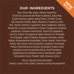 Instinct® Be Natural™ Real Beef & Barley Recipe Dog Food