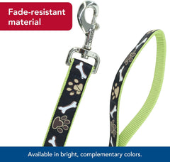 Coastal Pet Ribbon Dog Leash - Contemporary Stylish Look - Durable Fade-Resistant Nylon Material - Perfect for Dogs, 5/8" x 06'