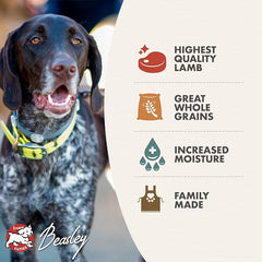 Fromm Lamb Pate Dog Food - Premium Wet Dog Food - Lamb Recipe - Case of 12 Cans