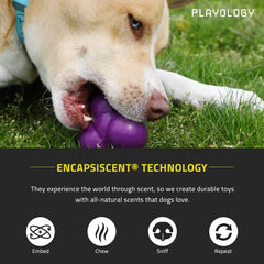 Playology Squeaky Bounce Ball Dog Toy, for Large Dogs (35lbs and Up) - for Heavy Chewers - Engaging All-Natural Chicken Scented Toy - Non-Toxic Materials