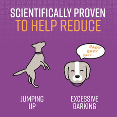 Sentry Pet Care Stop That! Behavior Correction Spray for Dogs, Easy Spray Application, Noise and Pheromones Help Eliminate Excessive Barking, Marking, Jumping, and Other Unwanted Behaviors