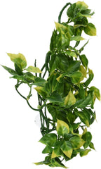 Exo Terra Plastic Terrarium Plant, Medium, Amapallo