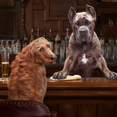 Fromm Gold Nutritionals Large Breed Adult Dry Dog Food.