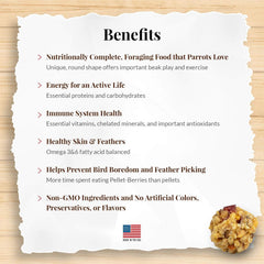 LAFEBER'S Pellet-Berries Pet Bird Food, Made with Non-GMO and Human-Grade Ingredients, for Parrots