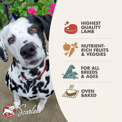 Fromm Four-Star Lamb with Cranberry Grain-Free Dog Treats, 8-Ounce Bag