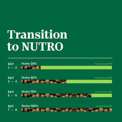 Nutro Natural Choice Small Bites Adult Dry Dog Food, Salmon and Brown Rice Recipe, 28 lbs.