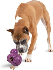 PetSafe Busy Buddy Barnacle - Dog Chew Toy - Treat Dispensing Dog Toys