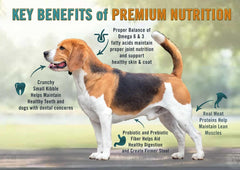 Chicken Soup for The Soul All Natural Premium Small Bites Adult Dry Dog Food, Real Meat First Ingredient, No by-Products, Supports Gut & Immune Health, Chicken, Turkey & Brown Rice