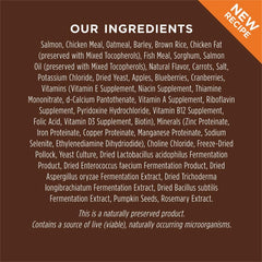 Instinct Be Natural Salmon & Brown Rice Dry Dog Food