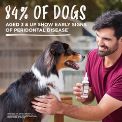 TropiClean Enticers Kong Dental Ball Kit for Medium Dogs | Teeth Cleaning Gel | Smoked Beef Brisket Flavor |