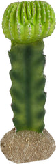 Multi Pet 48593325: Komodo Cactus Plant Moon, 7.5In