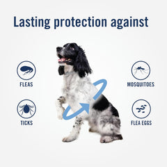 PetArmor Plus Flea & Tick Collar for Dogs, Kills Fleas & Ticks, Long Lasting Protection for 6 Months, Water Resistant, One Size Fits All, 1 Collar