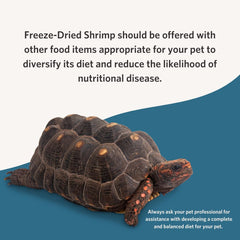 Fluker’s Freeze-Dried Insects - River Shrimp, Turtle Shrimp, Shrimp Turtle Food - Nutrient-Rich Shrimp for Turtles, Reptiles, Birds & Tropical Fish, 1 oz
