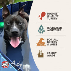 Fromm Turkey & Pumpkin Pate Dog Food - Premium Wet Dog Food - Turkey Recipe - Case of 12 Cans