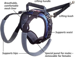PetSafe CareLift Rear Support Harness - Lifting Aid with Handle - Great for Pet Mobility and Older Dogs - Comfortable, Breathable Material - Easy to Adjust - Small