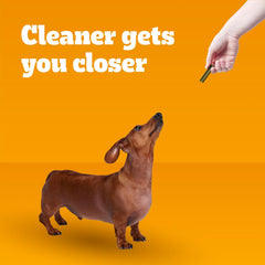 PEDIGREE DENTASTIX Dental Dog Treats for Small Dogs Fresh Flavor Dental Bones, 12.66 oz. Pack (51 Treats)