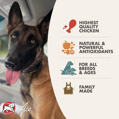 Fromm Diner Favorites Louie's Chicken & Pasta Stew Dog Food - Premium Wet Dog Food - Chicken Recipe - Case of 12 Cans