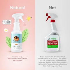 kin+kind Pet Odor Eliminator for Home - Litter Deodorizer, Pet Urine Odor Eliminator Spray and Stain Remover Spray for Harwood Floods, Carpet and Fabric - Pee, Odor and Stain Destroyer