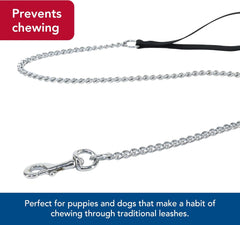 Titan - Coastal Pet Titan Chain Dog Leash with Comfortable Handle - Durable Metal Dog Leash - Heavy-Duty Dog Leash for Puppies & Dogs - Quality Dog Supplies