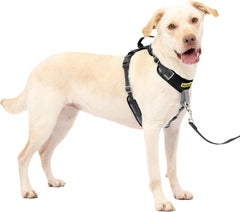 PetSafe Easy Walk Comfort No-Pull Dog Harness Full-Body Padding - Better Walks on The First Use - 5 Points of Adjustment , Black