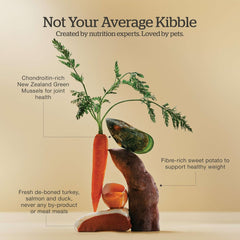 Now Fresh Grain-Free Senior Dry Dog Food with Turkey, Salmon & Duck, Premium Kibble Made with Real Meat & Fish, Chicken-Free Recipe, Glucosamine & Chondroitin for Healthy Joints