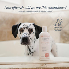 Veterinary Formula Clinical Care Hot Spot & Itch Relief Cat & Dog Medicated Conditioner – Oatmeal Conditions Skin for a Lustrous Coat, Formulated to Help Alleviate Itchy Skin