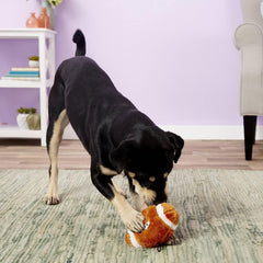 SPOT Plush Football Dog Toy