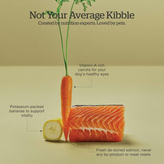 Now Fresh Good Gravy, Bone Broth Coated Kibble, Dry Dog Food, Salmon Adult Recipe with Grains, All Breed Size