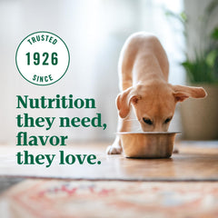 Nutro Ultra High Protein Dry Puppy Food, Trio of Proteins from Chicken, Lamb and Salmon