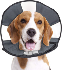 ZenPet Pet Recovery Cone E-Collar for Dogs and Cats