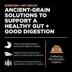 Go! Solutions Digestion + Gut Health, Dry Cat Food, Salmon Recipe with Ancient Grains