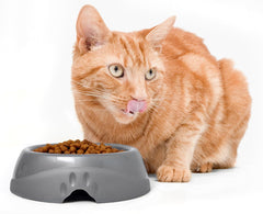 Petmate Ultra Lightweight Bowl