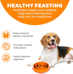 Outward Hound Fun Feeder Slow Bowl in Orange Plastic for Dogs