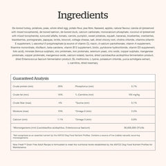 Now Fresh Grain-Free Dry Dog Food with Turkey, Salmon & Duck, Healthy Kibble for Adults Made with Real Meat & Fish, Chicken-Free, Enhanced with Pumpkin & Probiotics for Good Digestion
