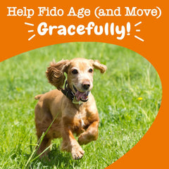 Zesty Paws Mobility Bites Joint Supplement for Dogs - Soft Chews with Glucosamine for Dogs, Chondroitin, & MSM + Vitamins C and E - Adv Chicken - 90 Count