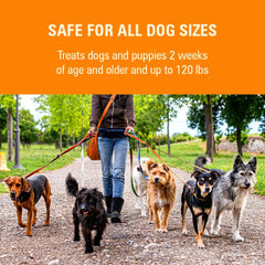 Sentry Pet Care HC WormX DS (pyrantel pamoate) Canine Anthelmintic Suspension De-wormer for Dogs, 2 oz